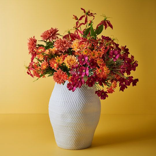 Daisy Spray - Orange