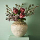 Leucadendron Spray - Burgundy