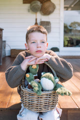 Finley the Frog