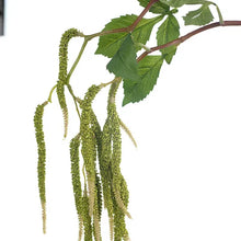 Load image into Gallery viewer, Amaranthus Spray
