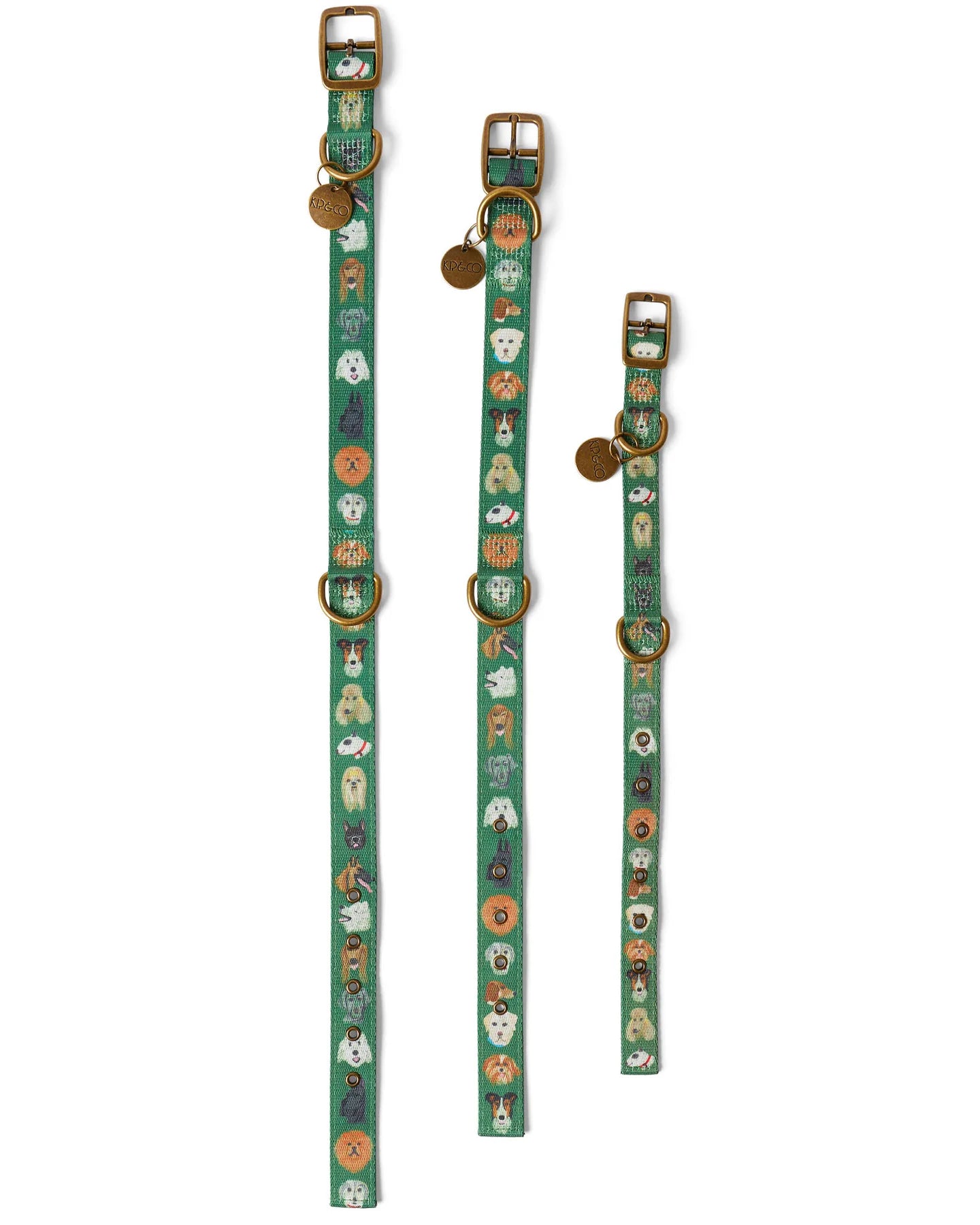 Dog Park Dog Collar XL