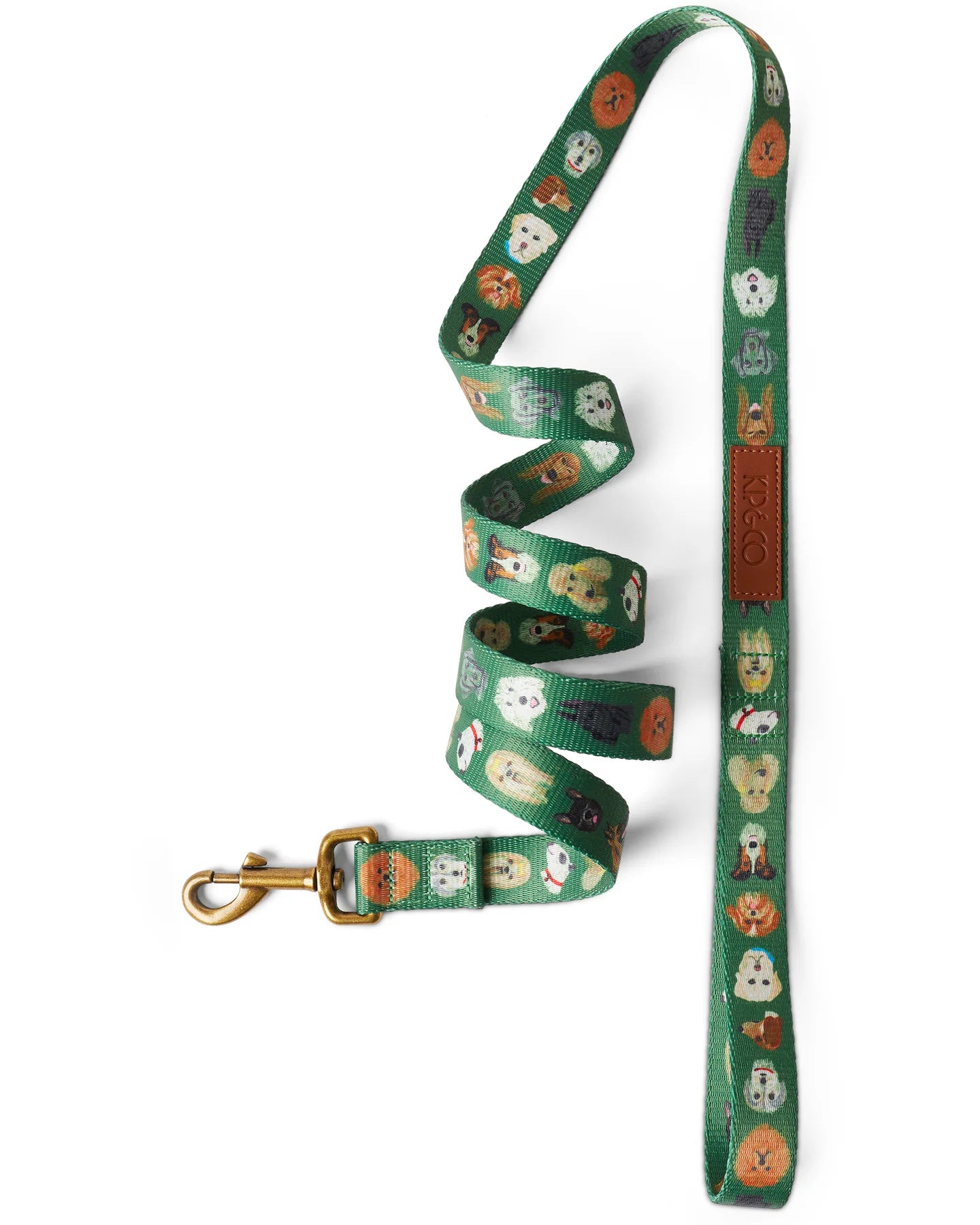 Dog Park Lead - Small