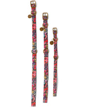 Load image into Gallery viewer, Forever Floral Black Dog Collar
