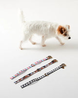 Fez Stripe Dog Collar