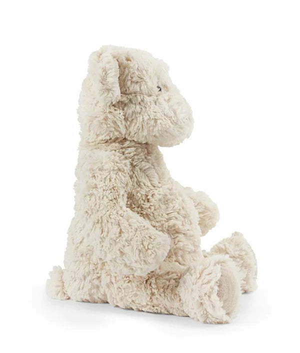 Freddy The Teddy-Cream