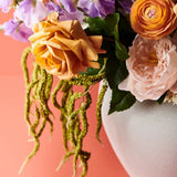 Amaranthus Spray