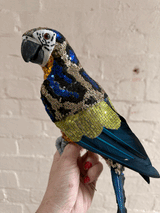 Sequin Perched Parrot - Blue Wings