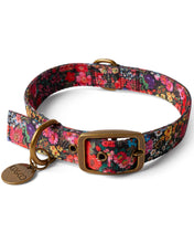 Load image into Gallery viewer, Forever Floral Black Dog Collar
