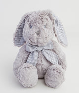 Big Grey Sitting Rabbit