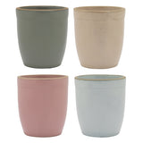 Tahoe Latte Cups