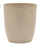 Tahoe Latte Cups