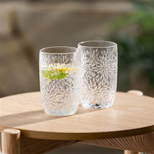 Load image into Gallery viewer, Fiori Set of 4 Hi Ball Tumblers
