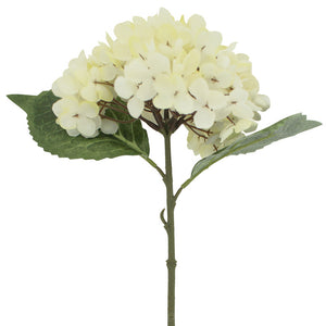 Hydrangeas In White 33cm