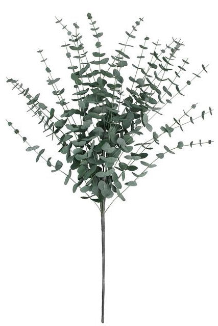Eucalyptus Branch Green 70cm