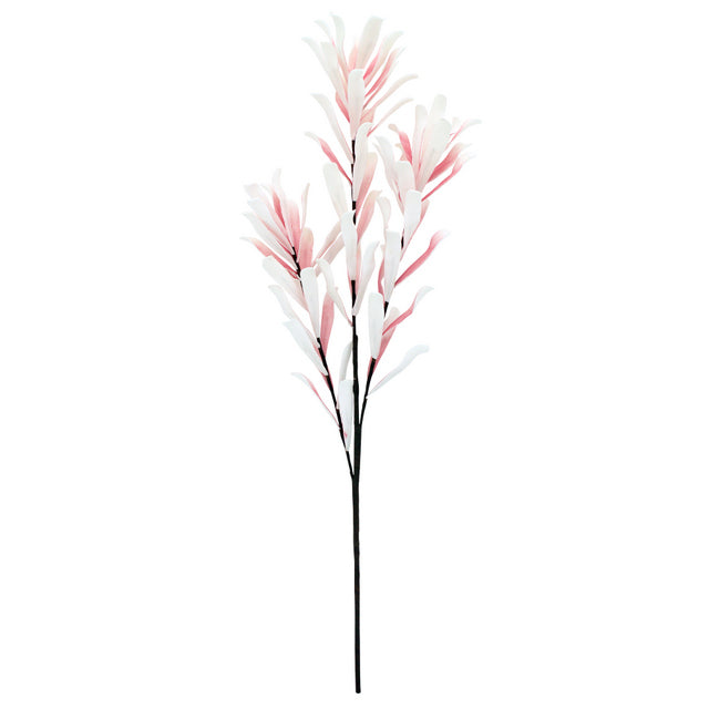 Coastal Banksia Pale Pink  90cm