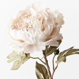 Peony Celeste Ivory