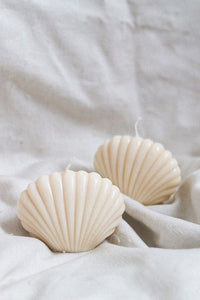 Seashell Ivory Candle