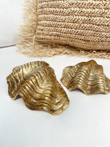 The Brass Clam Shell
