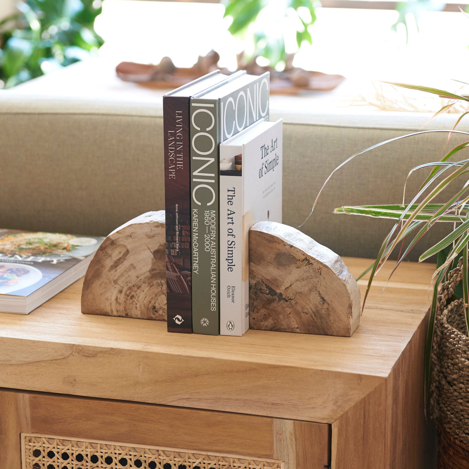 Acadia Petrified Wood Bookends