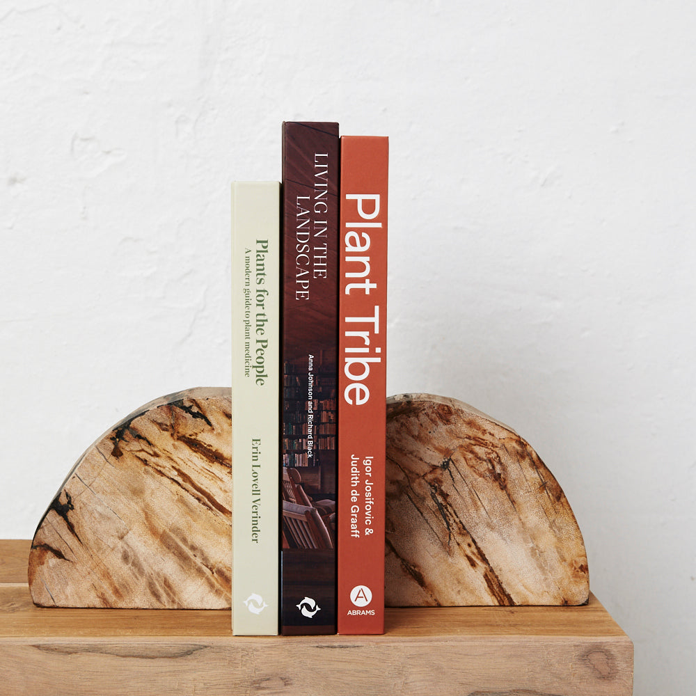 Acadia Petrified Wood Bookends