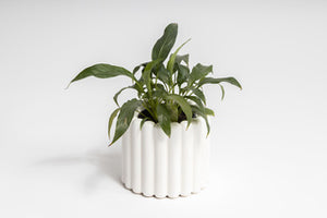 Alto Vase White