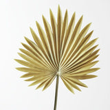 Palm Fan