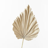 Palm Fan Spear
