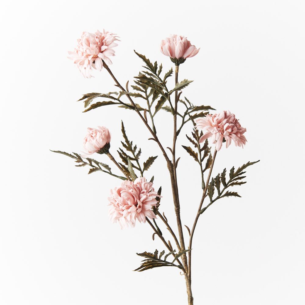 Chrysanthemum Celeste Spray Light Pink