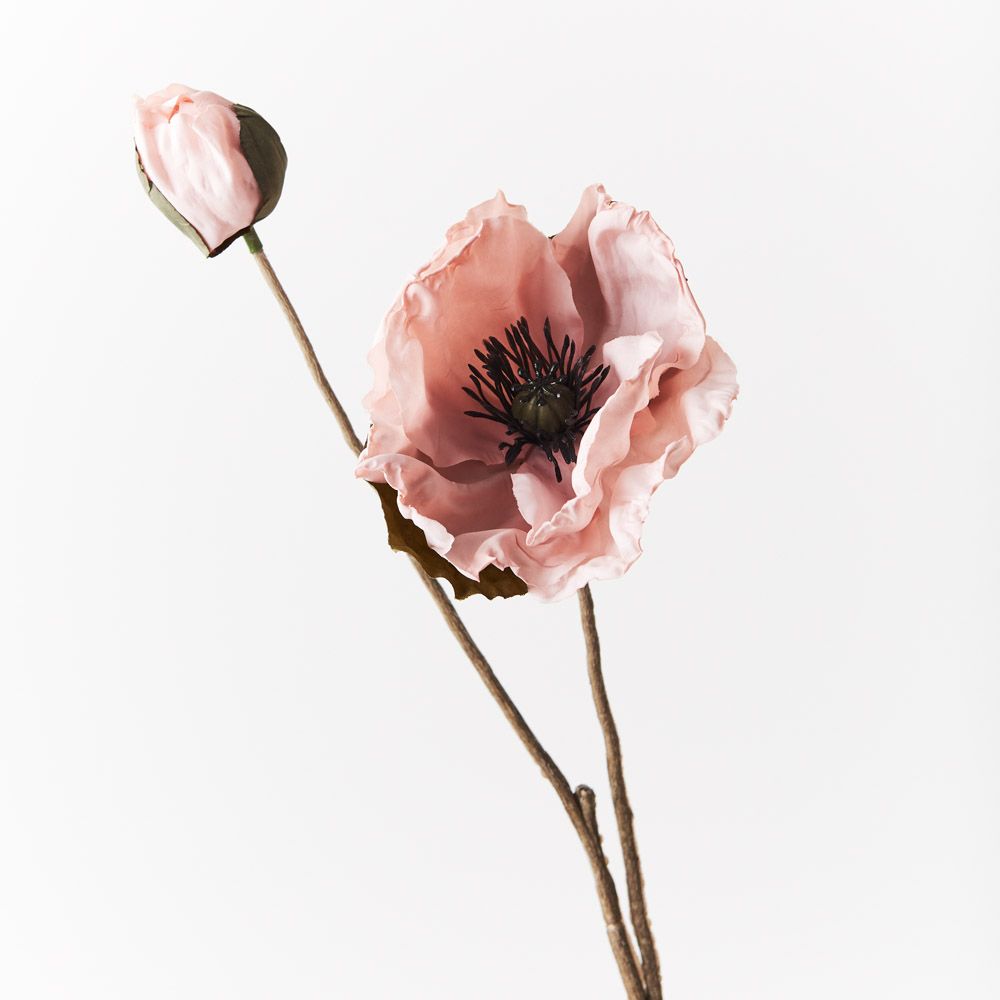 Poppy Celeste Spray Light Pink