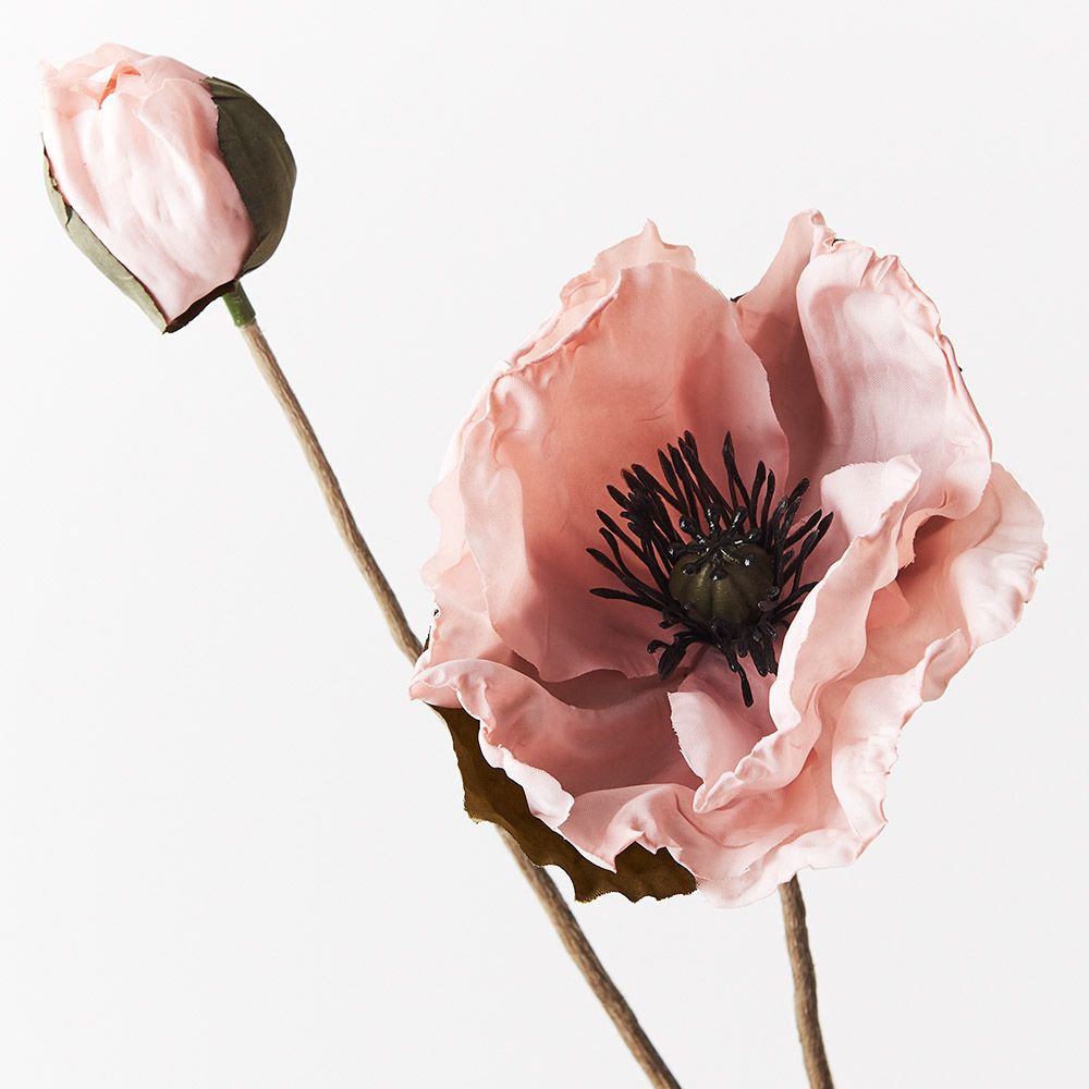 Poppy Celeste Spray Light Pink